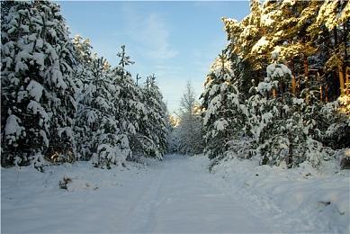 Fami通新一周销量榜 《圣兽之王》登顶